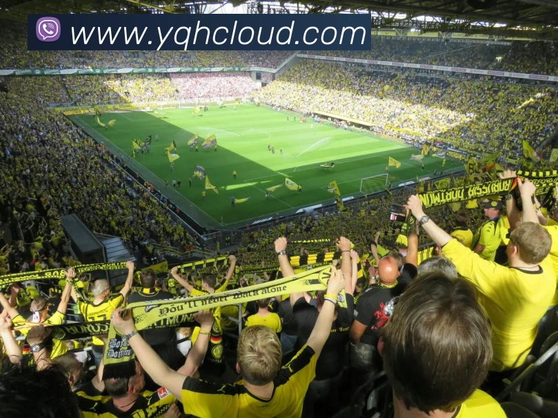 爱游戏ayx体育APP 体育赛事宣传图