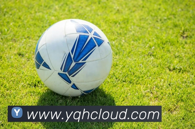 九游j9官网入口全站App